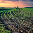 Ставропольские аграрии завершили сев яровых 2021