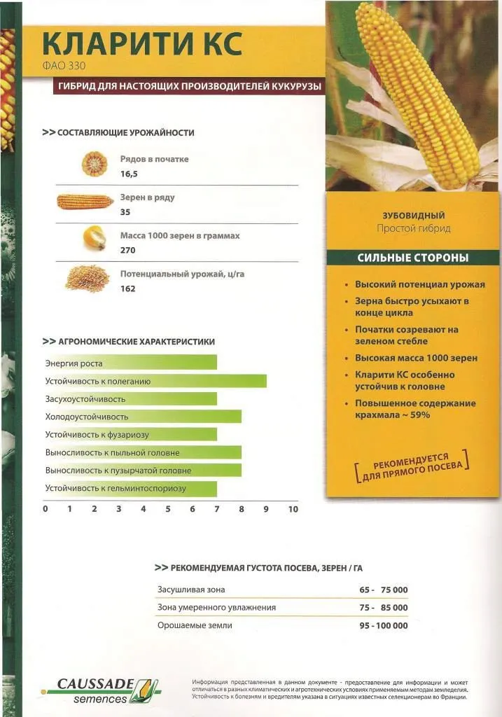 фотография продукта Гибридные семена кукурузы Кларити КС