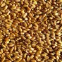 пшеница 3 класс 4000 тонн в Ставрополе и Ставропольском крае