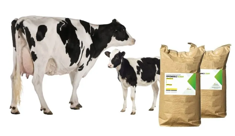 фотография продукта БМВД и премиксы для коров, 40 руб./кг