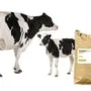 бмвд и премиксы для коров, 40 руб./кг в Ставрополе и Ставропольском крае